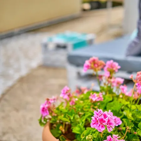 Lägenhet Stoneface *